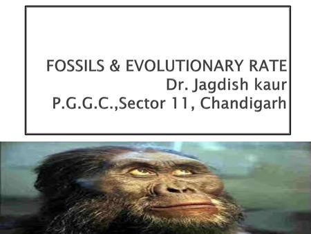 FOSSILS & EVOLUTIONARY RATE Dr. Jagdish kaur P. G. G. C