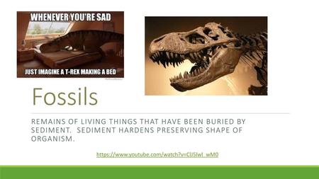 Fossils Remains of living things that have been buried by sediment. Sediment hardens preserving shape of organism. https://www.youtube.com/watch?v=ClJ5lwl_wM0.
