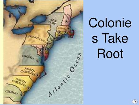 Colonies Take Root.