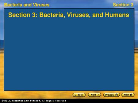 Section 3: Bacteria, Viruses, and Humans