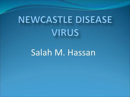 NEWCASTLE DISEASE VIRUS