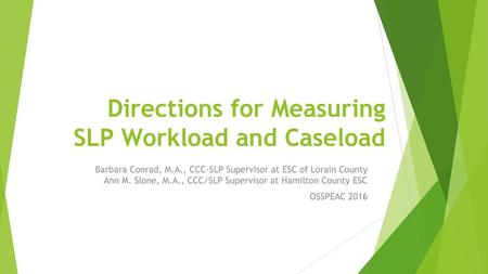 Directions for Measuring SLP Workload and Caseload
