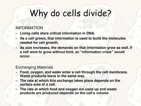 Why do cells divide? INFORMATION Exchanging Materials