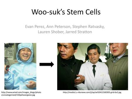 Woo-suk’s Stem Cells Evan Perez, Ann Peterson, Stephen Ratvasky, Lauren Shober, Jarred Stratton http://www.wired.com/images_blogs/photos/uncategorized/150pxhwangwoo.jpg.