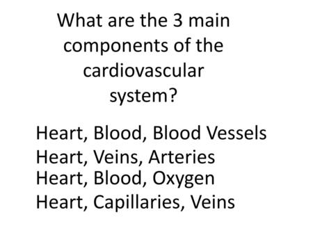 What are the 3 main components of the cardiovascular system?