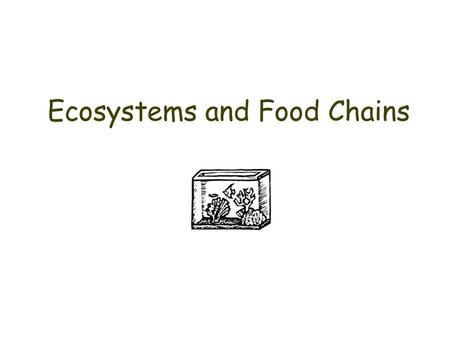 Ecosystems and Food Chains