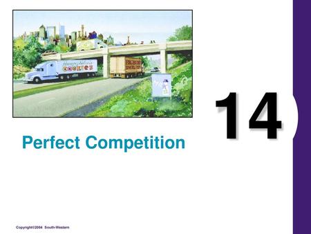 14 Perfect Competition.