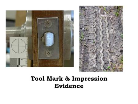 Tool Mark & Impression Evidence