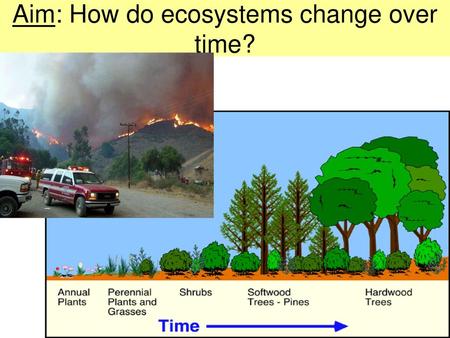 Aim: How do ecosystems change over time?