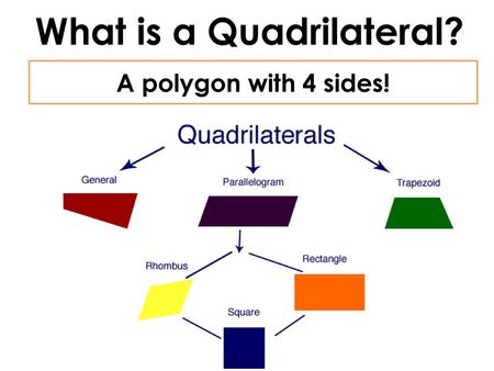 What is a Quadrilateral?