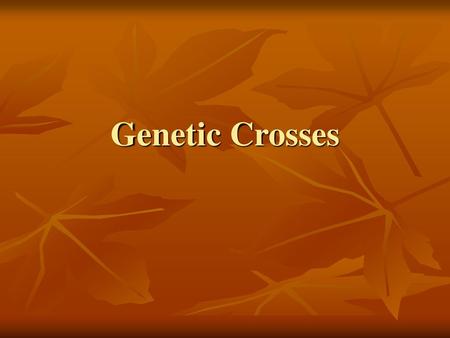 Genetic Crosses.