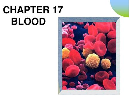 CHAPTER 17 BLOOD.