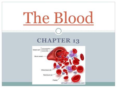 The Blood Chapter 13.