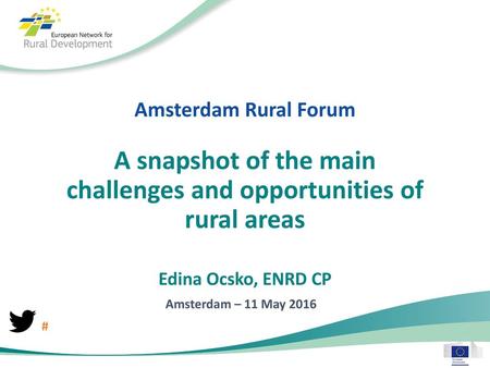A snapshot of the main challenges and opportunities of rural areas