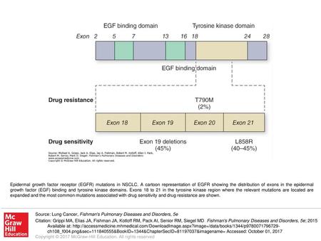 Epidermal growth factor receptor (EGFR) mutations in NSCLC