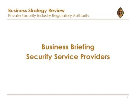 Business Briefing Security Service Providers