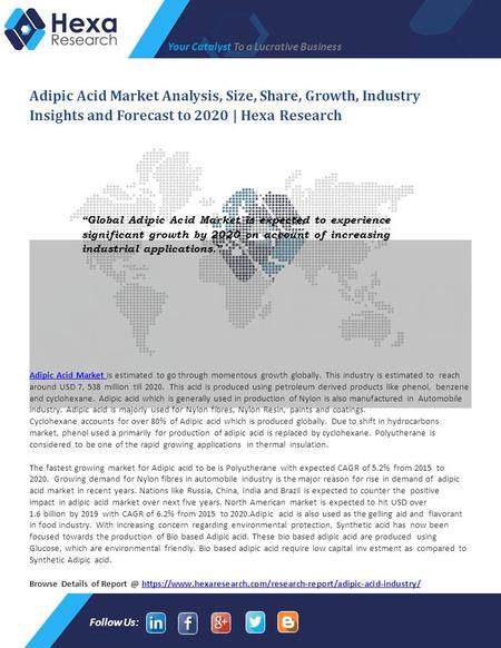 Adipic Acid Industry