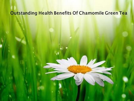 Outstanding Health Benefits Of Chamomile Green Tea.