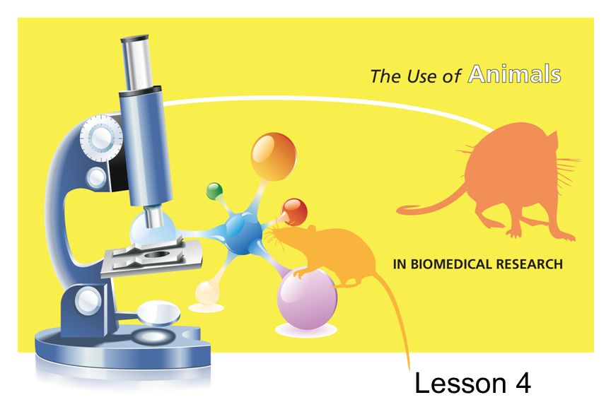 Lesson 4. Learning Topic: Specific facts about the use of animals in  biomedical research review. Focus Question: What are the 3 Rs of animal  research. - ppt download