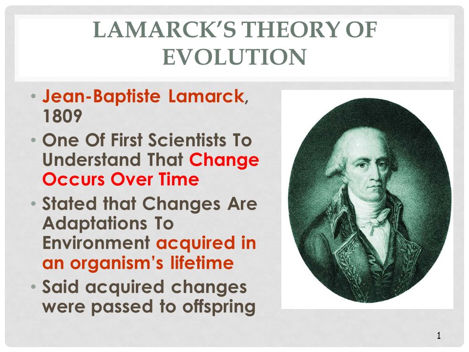 LAMARCK'S THEORY OF EVOLUTION Jean-Baptiste Lamarck, 1809 One Of First Scientists To Understand That Change Occurs Over Time Stated that Changes Are Adaptations. - ppt download