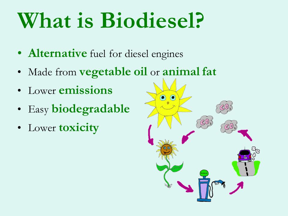 What is Biodiesel? Alternative fuel for diesel engines Made from vegetable  oil or animal fat Lower emissions Easy biodegradable Lower toxicity. - ppt  download