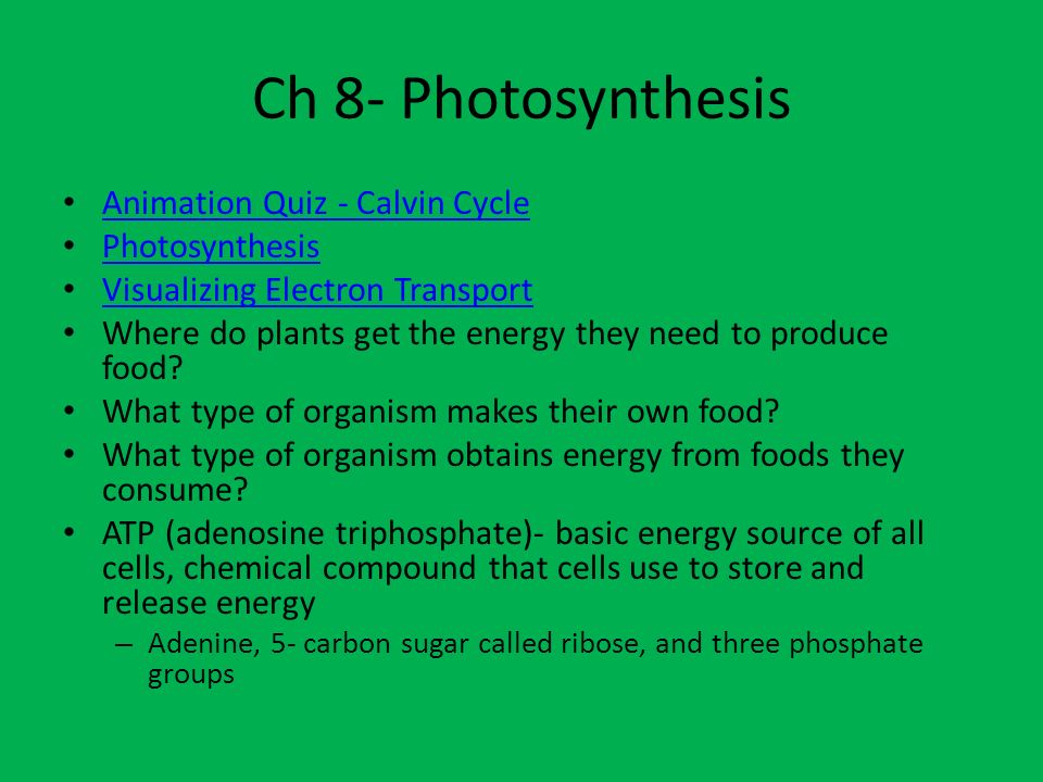 Ch 8- Photosynthesis Animation Quiz - Calvin Cycle Photosynthesis - ppt  video online download