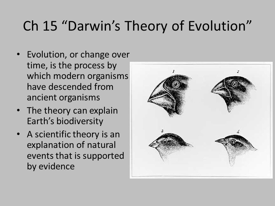 Ch 15 “Darwin’s Theory of Evolution”