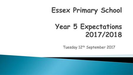 Essex Primary School Year 5 Expectations 2017/2018