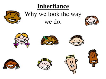 Inheritance Why we look the way we do.