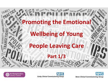 Promoting the Emotional Wellbeing of Young People Leaving Care