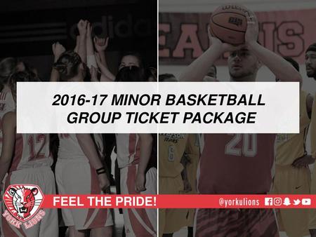 MINOR BASKETBALL GROUP TICKET PACKAGE