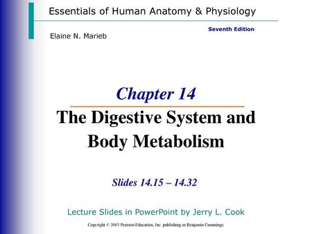 Chapter 14 The Digestive System and Body Metabolism