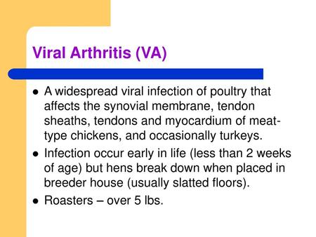 Viral Arthritis (VA) A widespread viral infection of poultry that affects the synovial membrane, tendon sheaths, tendons and myocardium of meat-type chickens,