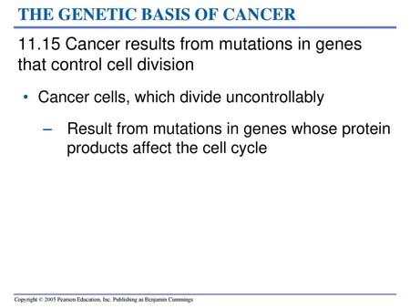 THE GENETIC BASIS OF CANCER