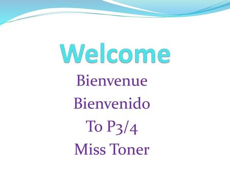 Bienvenue Bienvenido To P3/4 Miss Toner