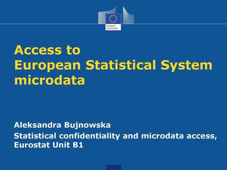 Access to European Statistical System microdata