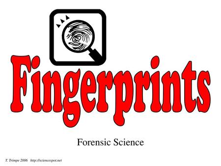 Fingerprints Forensic Science T. Trimpe 2006 http://sciencespot.net.