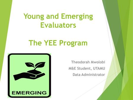 Young and Emerging Evaluators The YEE Program