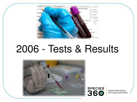 2006 - Tests & Results.