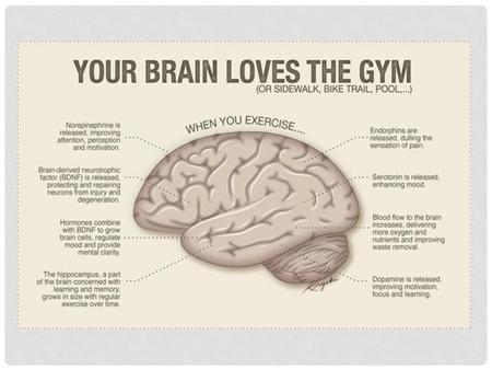 Don’t sit still Physical exercise is not only important for your body’s health – it also helps your brain stay sharp. In general anything that is good.