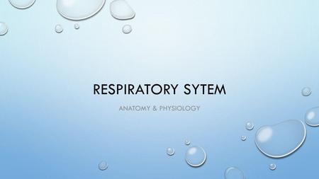 RESPIRATORY SYTEM Anatomy & Physiology.
