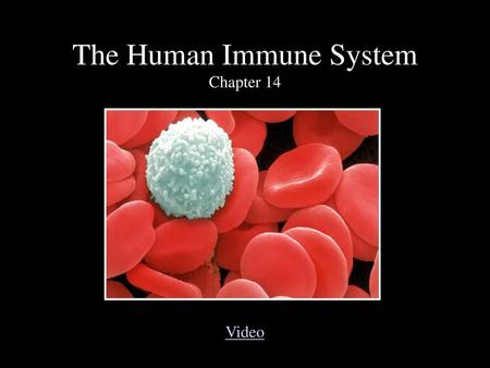 The Human Immune System Chapter 14