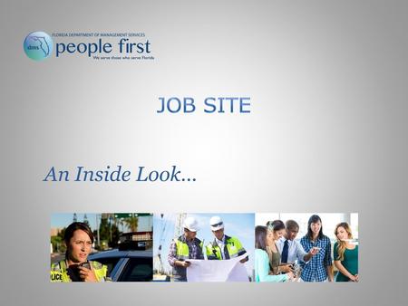 Job site An Inside Look…