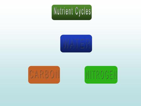 Nutrient Cycles WATER CARBON NITROGEN.