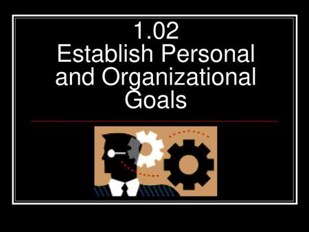 1.02 Establish Personal and Organizational Goals
