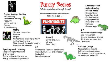 Funny Bones What can we learn through bones?
