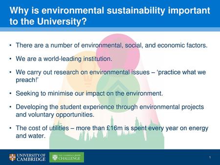 Why is environmental sustainability important to the University?