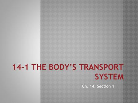 14-1 THE BODY’S TRANSPORT SYSTEM
