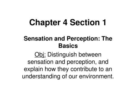 Sensation and Perception: The Basics