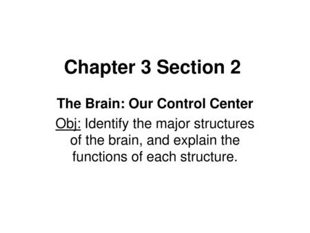 The Brain: Our Control Center